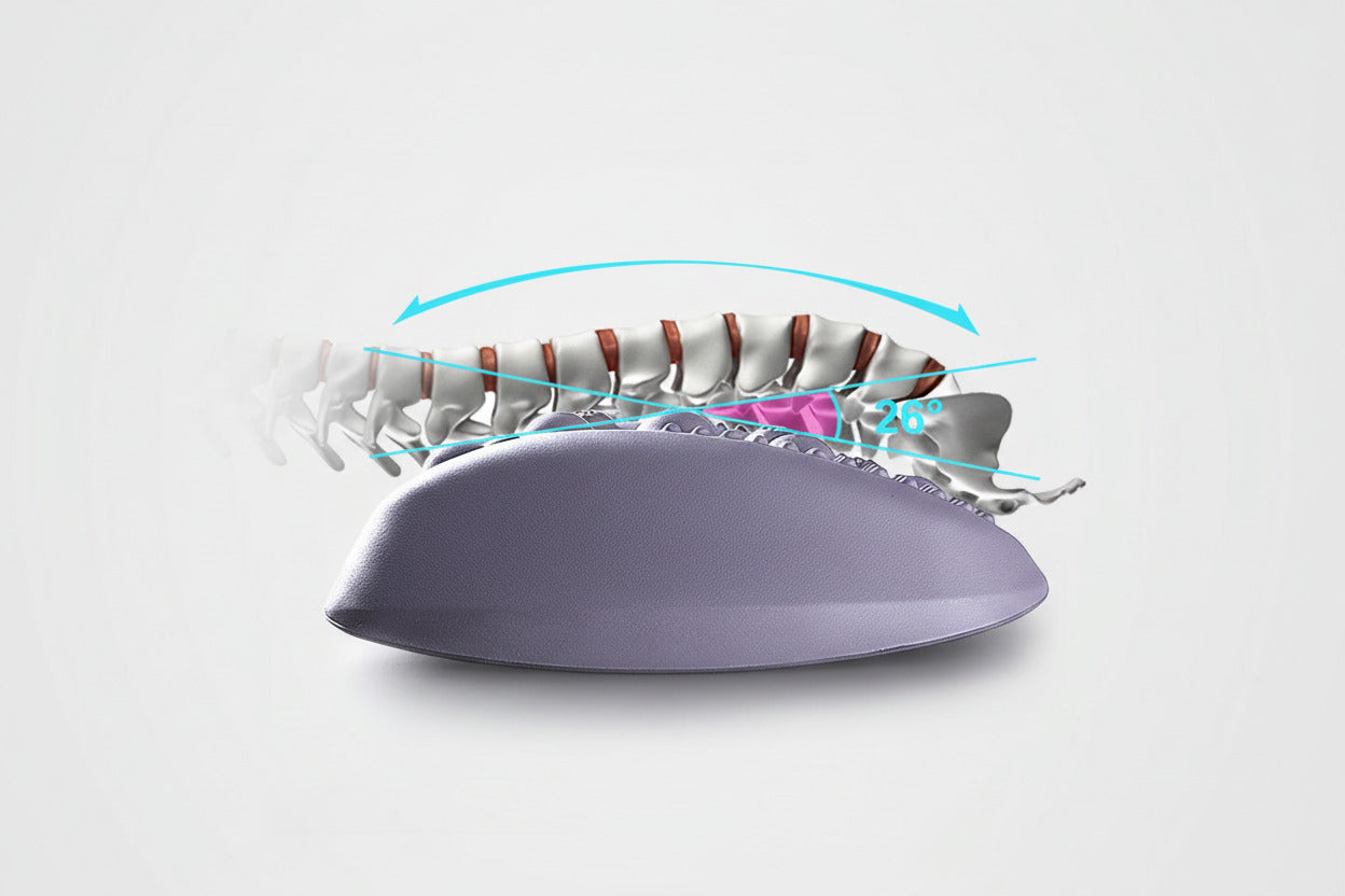 Purple pillow with a spine model showing how it supports the neck and head.